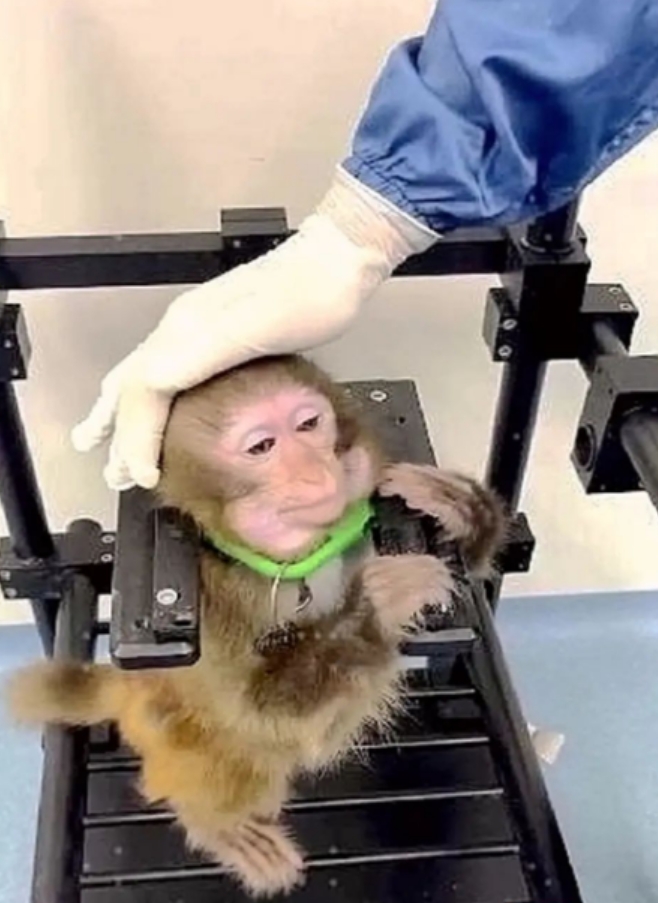Apollo is training